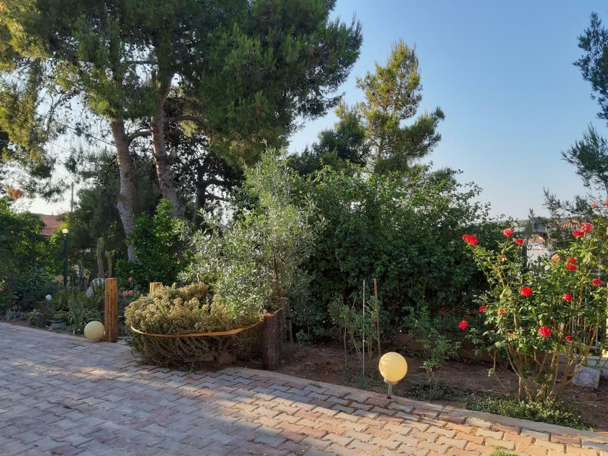 Litsas'Cozy House Porto Rafti Exterior foto